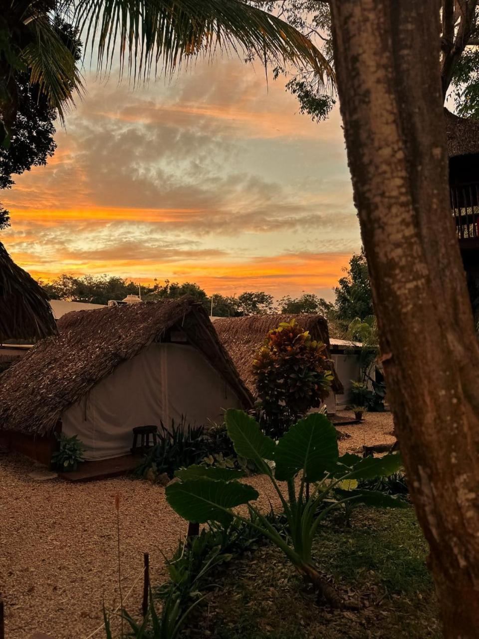 El Buho Bacalar Eco-Cabanas Hostal 外观 照片