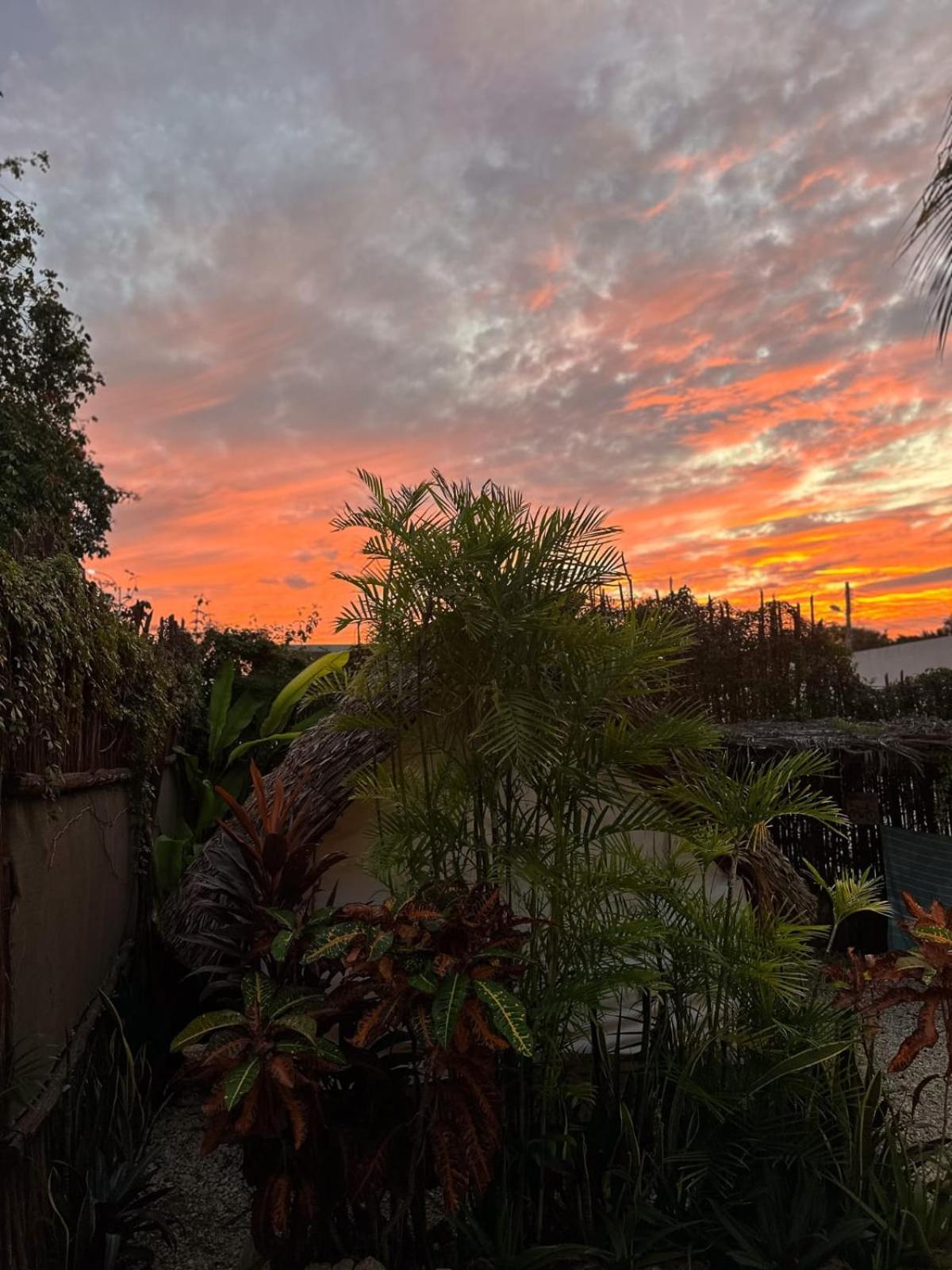 El Buho Bacalar Eco-Cabanas Hostal 外观 照片